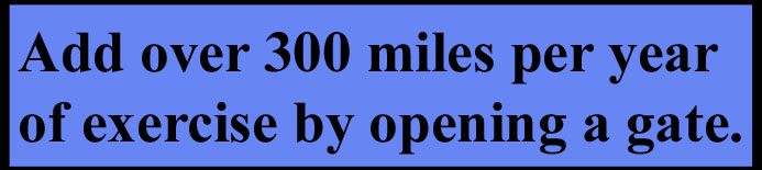 box-300-miles-a-year