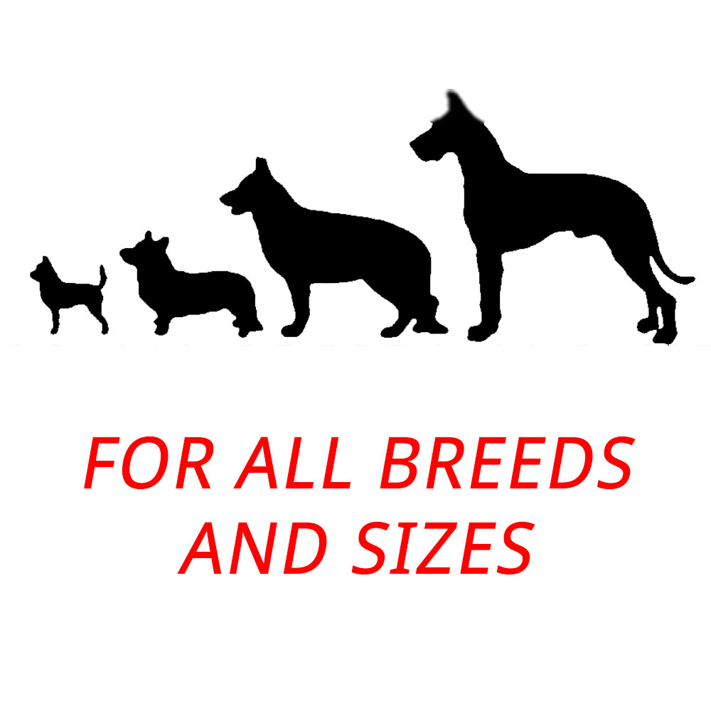 product-img-all-breeds